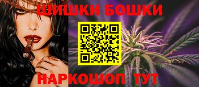 крисы Кулебаки