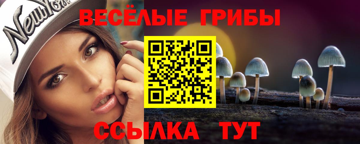 Джанкой  Псилоцибиновые грибы Psilocybine cubensis  Вход с VPN 