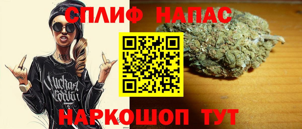 Конопля гибрид Джанкой